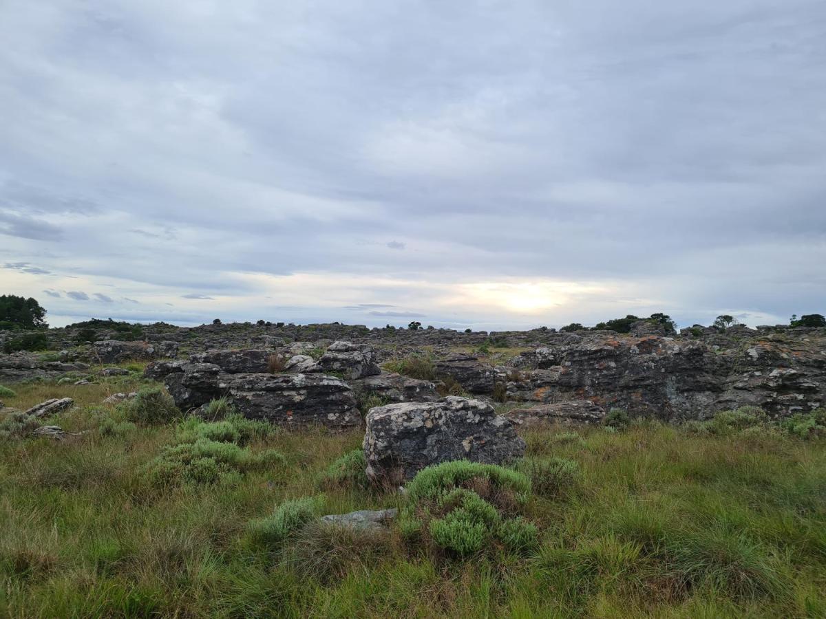 Coddiwomple Cottage Kaapsehoop Bagian luar foto
